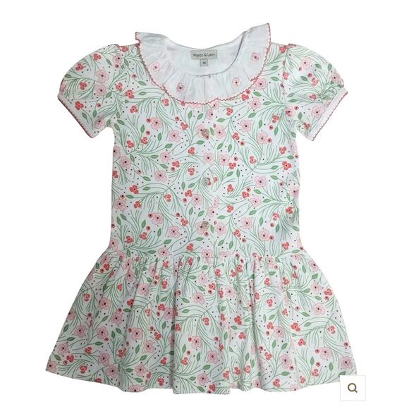 Marco & Lizzy Cherry Blossoms Girl's Dropped Waist Dress NWT size 4T - Picture 1 of 5